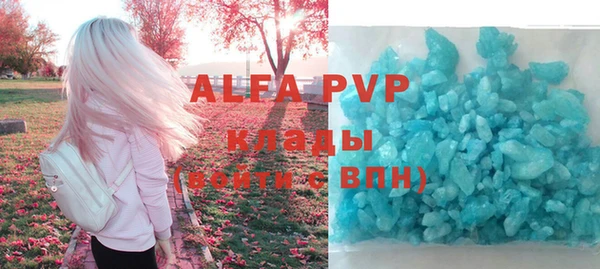 СК Алексин