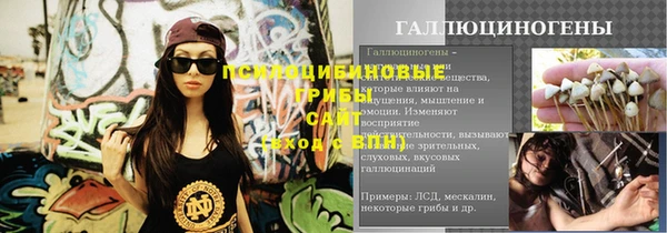 СК Алексин