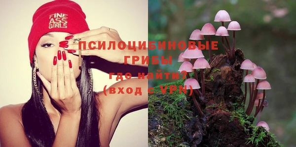 крисы Алексеевка