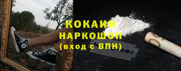 СК Алексин