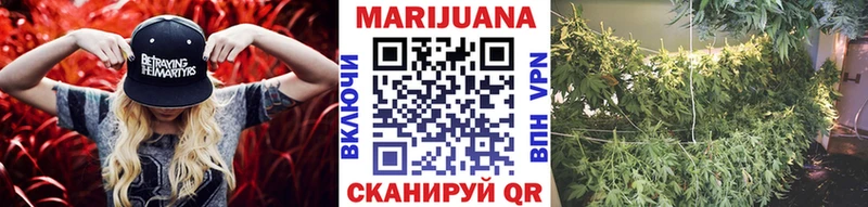 Конопля MAZAR  Чаплыгин 